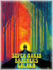 SUPER MARIO BROTHERS GALAXY Limited Ed. Giclee Signed and Numbered 2 /30 — photo 1