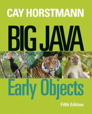 Big Java Hardcover Cay S. Horstmann