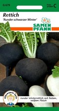 Rettich - Runder schwarzer Winter - Winterrettich Radieschen - Samen Saatgut