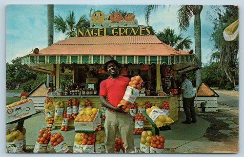 Postkarte FL Zypressengärten Florida Nagelhaine & Packhaus Obstständer AA1