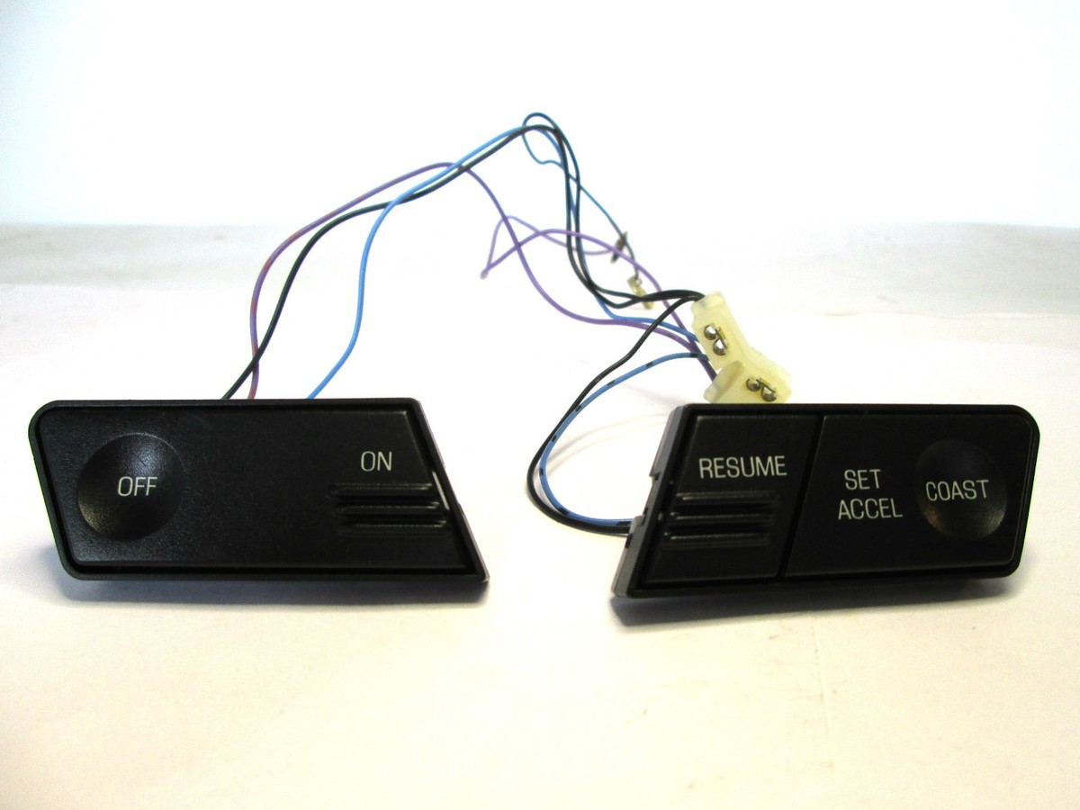 p._.q.30様 01NBSC028B_1400x.png?v=1750981884