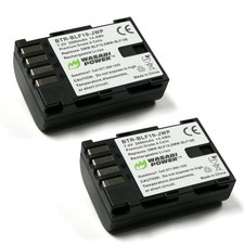 Wasabi Power Battery for Panasonic DMW-BLF19 2-Pack 