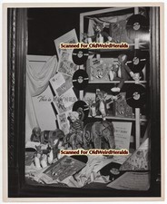 TOM & JERRY PHOTO #10 Haynes Griffin DISPLAY ny DOLLS,CIRCUS RECORD 40s MGM FILE