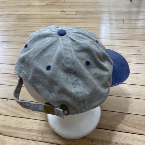 ESY Yellowstone National Park Hat Adjustable Clasp Blue Gray/Green Panel Dad Cap - Picture 18 of 20