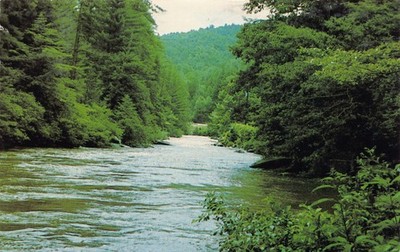 GA~GEORGIA~TOCCOA~TOCCOA RIVER 6 MILES FROM ASKA ROAD NEAR BLUE RIDGE~PM 1988