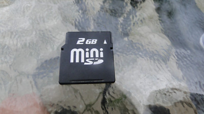 Rare SD-S02G 2 GB Mini SD Card Made in Japan