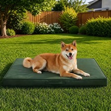 Outdoor Dog Bed Large Sized Dog, Waterproof, 36x27x3 Inch Dark Green