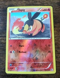 Tepig 24/149 Boundaries Crossed Reverse Holo