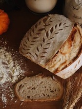 SOURDOUGH STARTER DEHYDRATED Organic - 3rd Generation ITALIAN - 15 Gram Bag