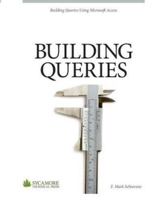 F Mark Schiavone Building Queries (Taschenbuch) (US IMPORT)