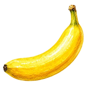 Banana Fruit Food Self Adhesive Vinyl Wall Sticker Decal Various Sizes