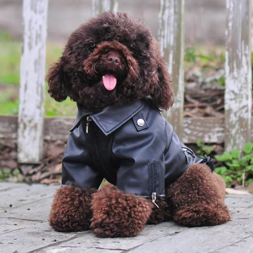 Dog Hoodies Dog Winter Coat Classic Designer Dog Coats Luxury Dog Coats  Small Dog Coats Warm Pet Dog Coat Zipper Design Easy On/Off Puppy Coats  Teddy