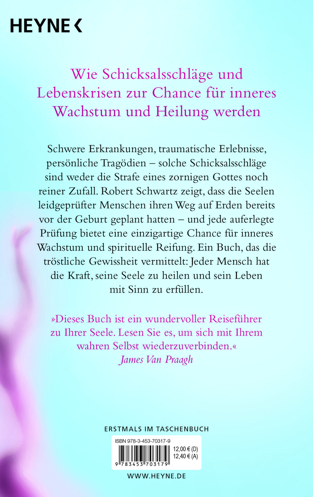 Thumbnail - Robert Schwartz Jede Seele Plant Ihren Weg