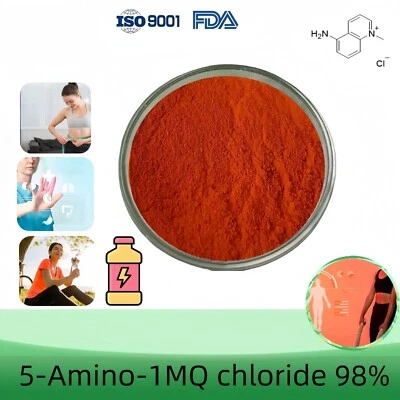 HEALTHYFINDS 5-Amino-1-methylchinolin-1-iumchlorid, 5-Amino-1MQ, Reinheit 98% Min, 5 Gramm