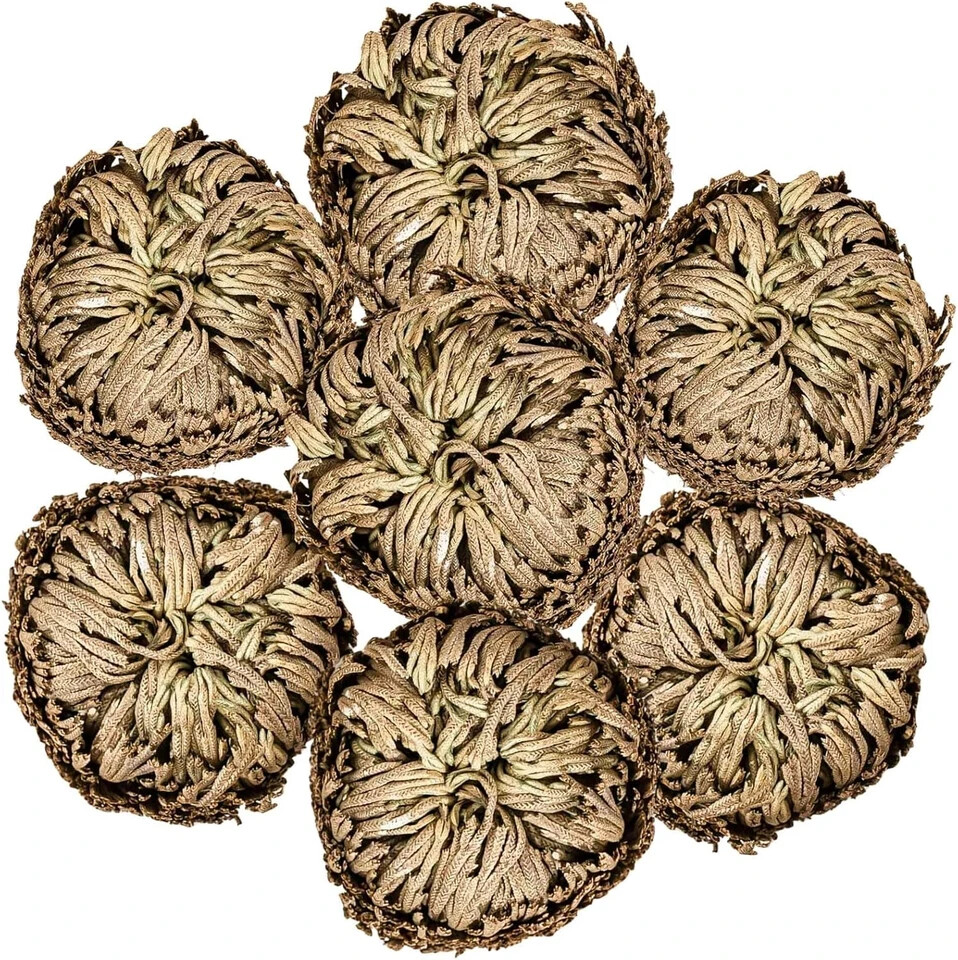 7 Pack Rose of Jericho Dried Plants - Rosa de Jerico Original, Brown
