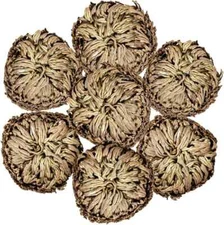 7 Pack Rose of Jericho Dried Plants - Rosa de Jerico Original, Brown