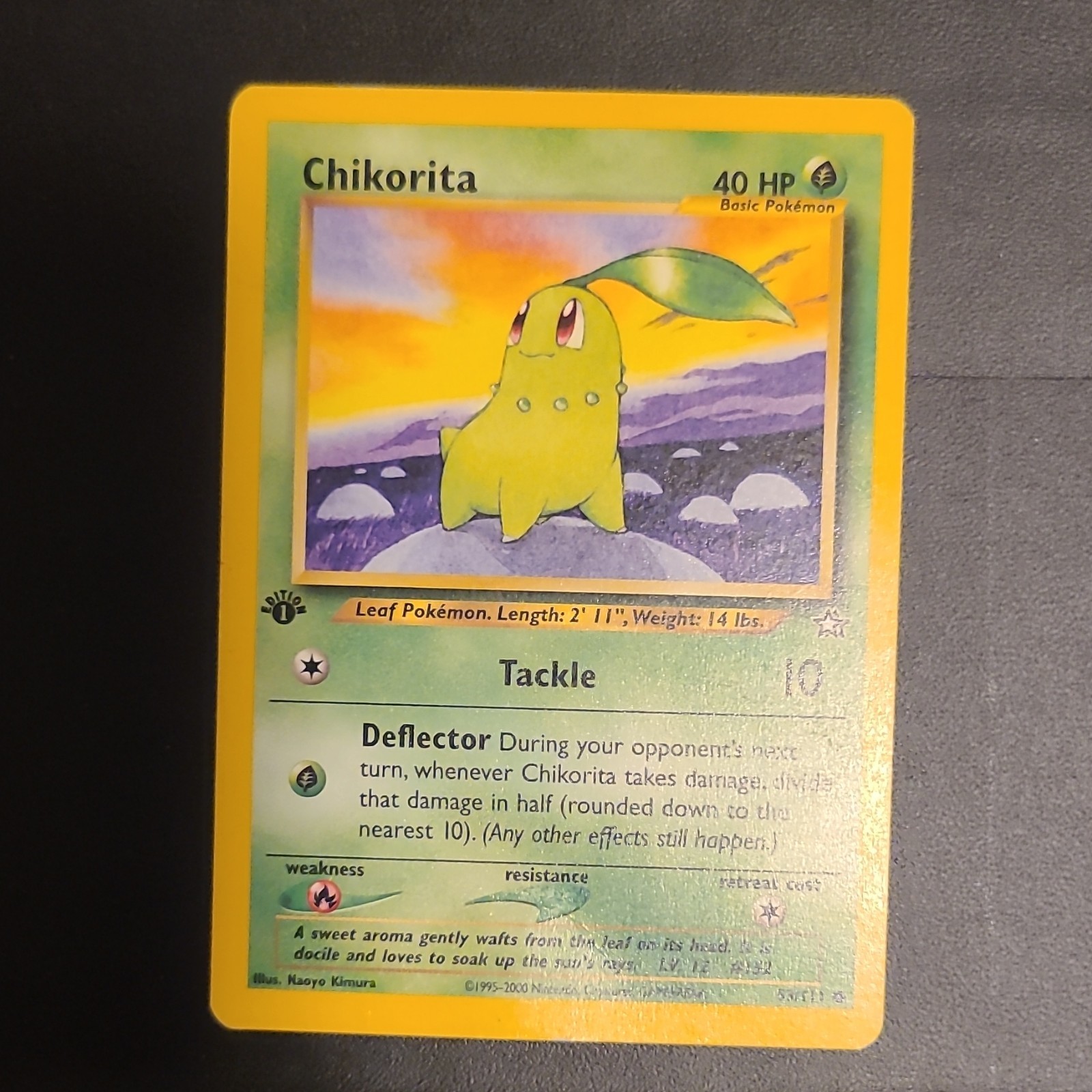 Wizards of the Coast Pokémon TCG Neo Genesis Chikorita 53/111 1st Edition Common