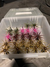 Coike / Urchin / Prickly Pear Tackle Stands 2...
