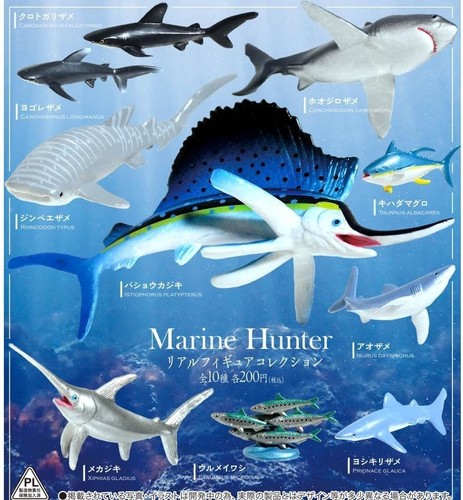 Marine Hunter Real Figure Collection Full Comp Gacha Gacha Capsule Toy Japan