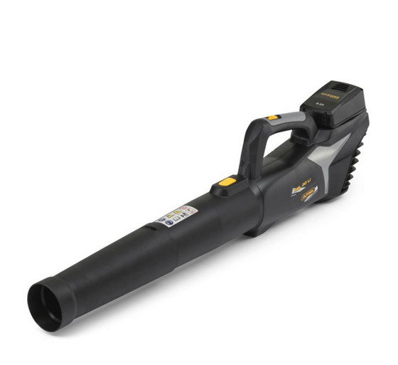 Offerta Soffiatore Foglie Alpina ABL 20: Pulizia Giardino Rapida