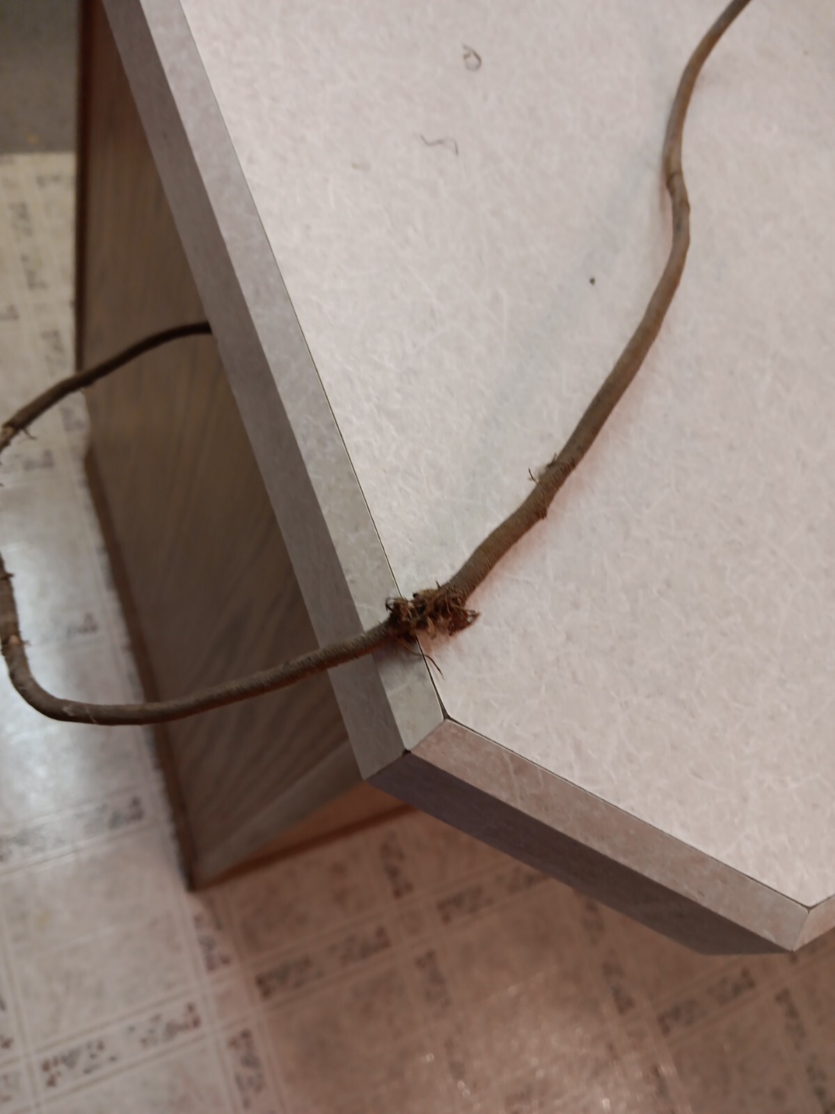 Vintage Tombstone RCA Victor Radio Turns on Just hums 20"H x 17"w