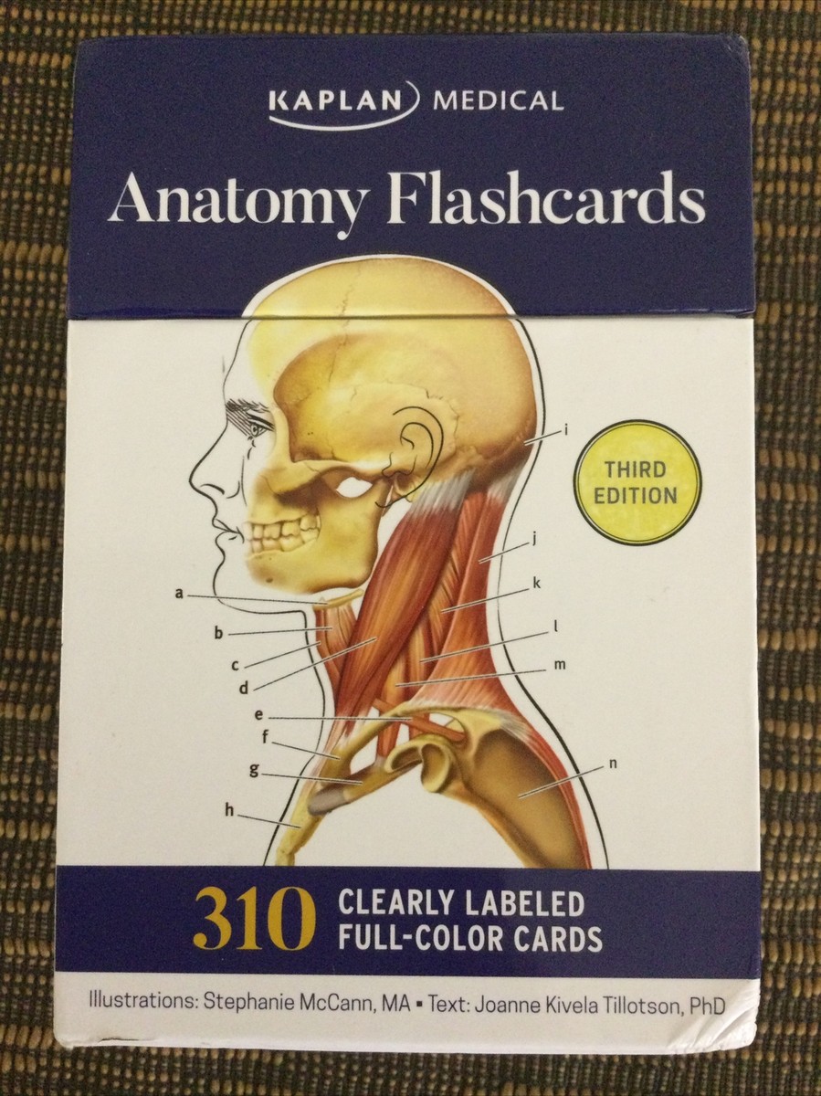Kaplan Medical Anatomy Flash Cards Anatomy Flashcards 9781506223537