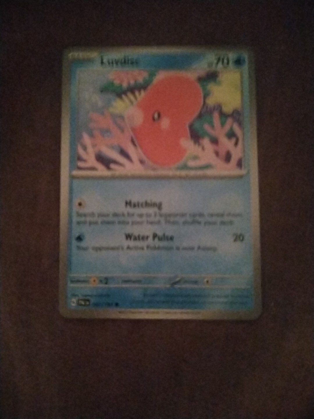 Picture 2 of 2