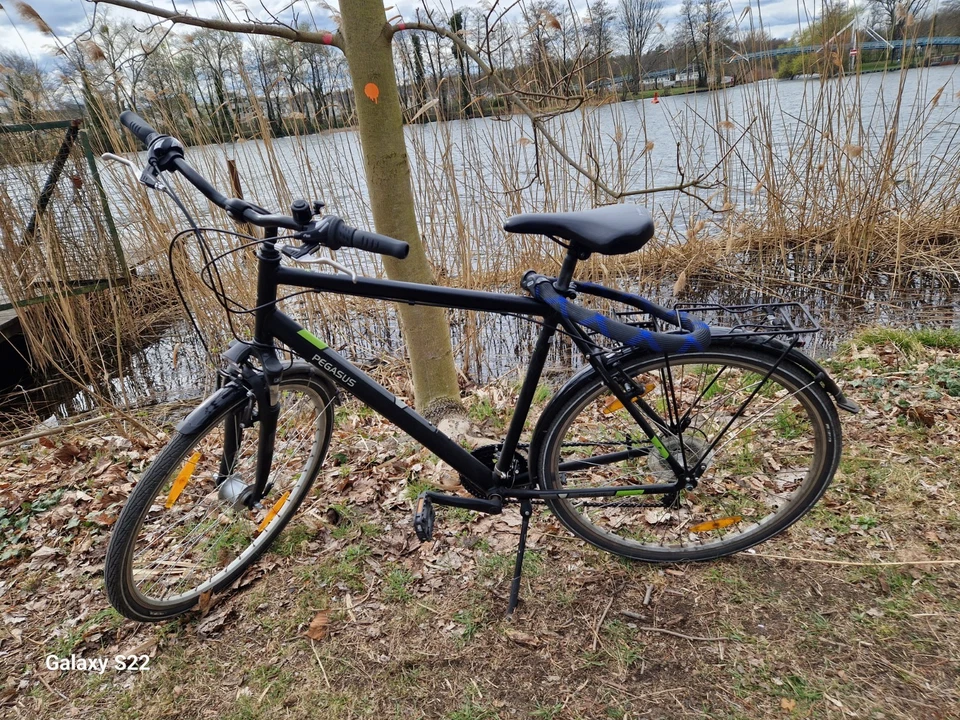 Pegasus Solero SL7 Herren schwarz . 2023