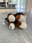 Webkinz Bernese Mountain Dog, Brand New With Both Unused Next Code And Classic!! — photo 6