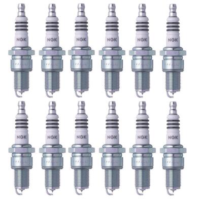 NGK Spark Plug Set (12 Pieces) (Iridium IX) (Gap 0.032)