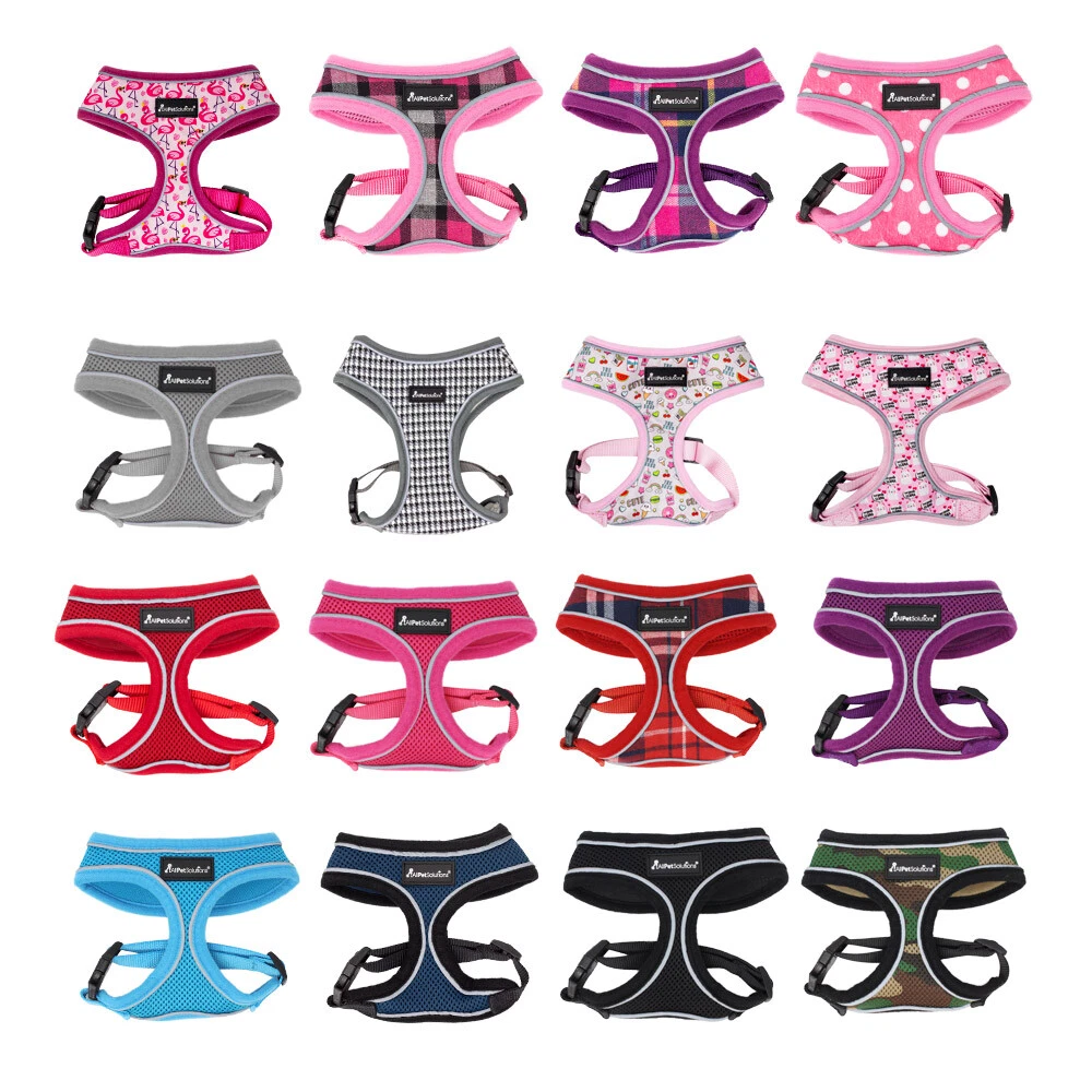 All pet 2025 solutions harness