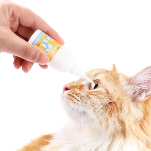 Pet Dog Cat Eye Drops Anti-Inflammatory Tear Stain Conjunctivitis Best D7L0 - Picture 1 of 11