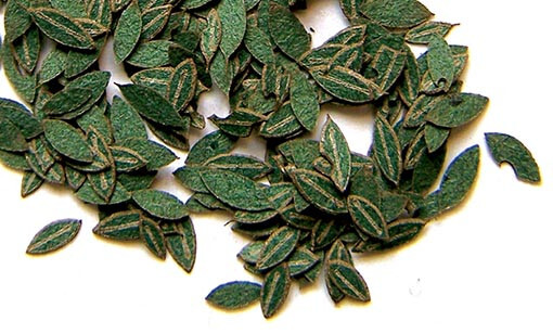 plusmodel 283 - Leaves Cherry - Kirschblätter