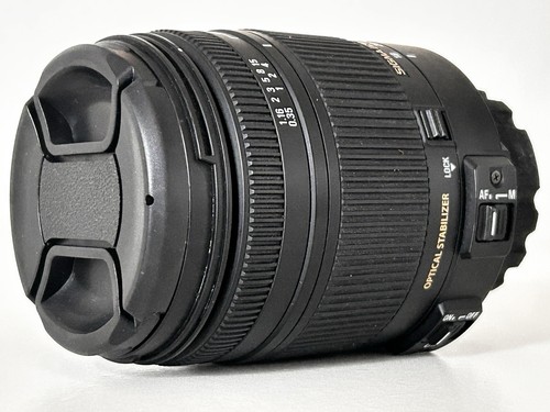 Nikon AF-S DX NIKKOR 18-135mm f/3.5-5.6G ED Lens + Caps + Hood - Picture 5 of 16