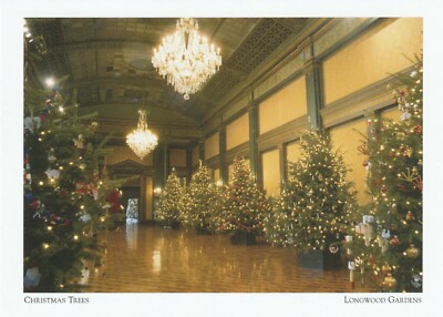 *PA Postcard-''Christmas Trees'' /Attracts Crowd/*Longwood Gardens- {C31}-