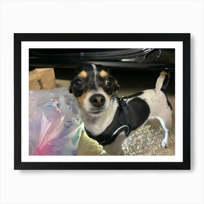 Jackie 1 Kunstdruck gerahmt Wandbild Poster Leinwanddruck Bild