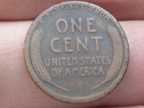 1912 S Lincoln Cent Wheat Penny- San Francisco, Good/VG Reverse Details