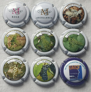 Capsules de Champagne LETTRE M SUIVANT ORDRE Moutaux