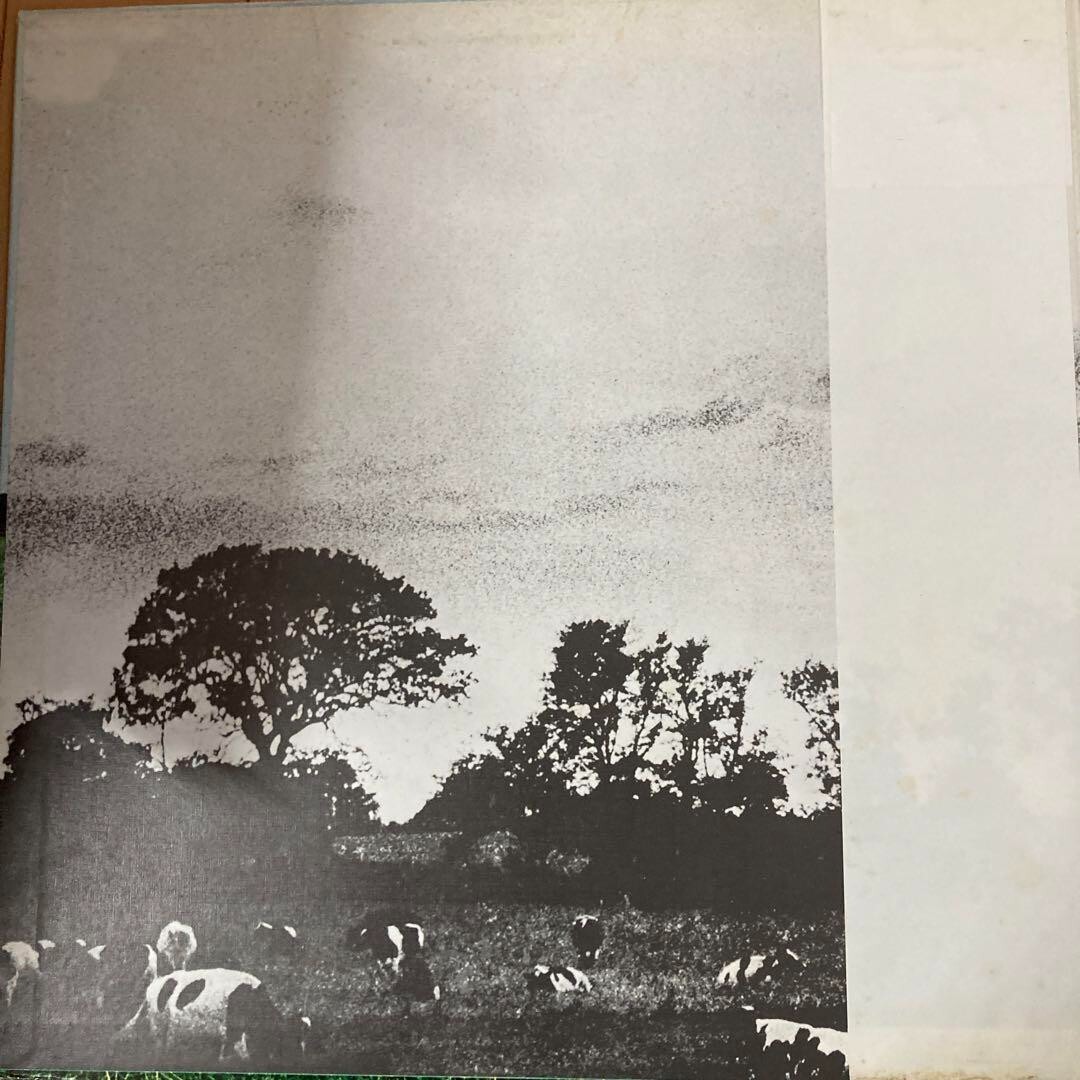 洋楽 PINK FLOYD/ATOM HEART MOTHER/OP80102 LP 91PV5NyeIkL._UF1000,1000_QL80_.jpg