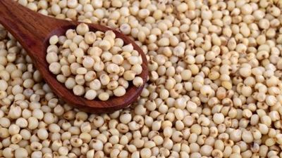 Juar Jowar Whole Sorghum Indian Cholam Healthy Grain