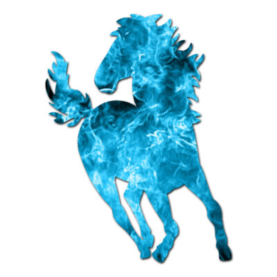 Horse Bronco Stallion - Decal Sticker - Multiple Patterns & Sizes - ebn1351