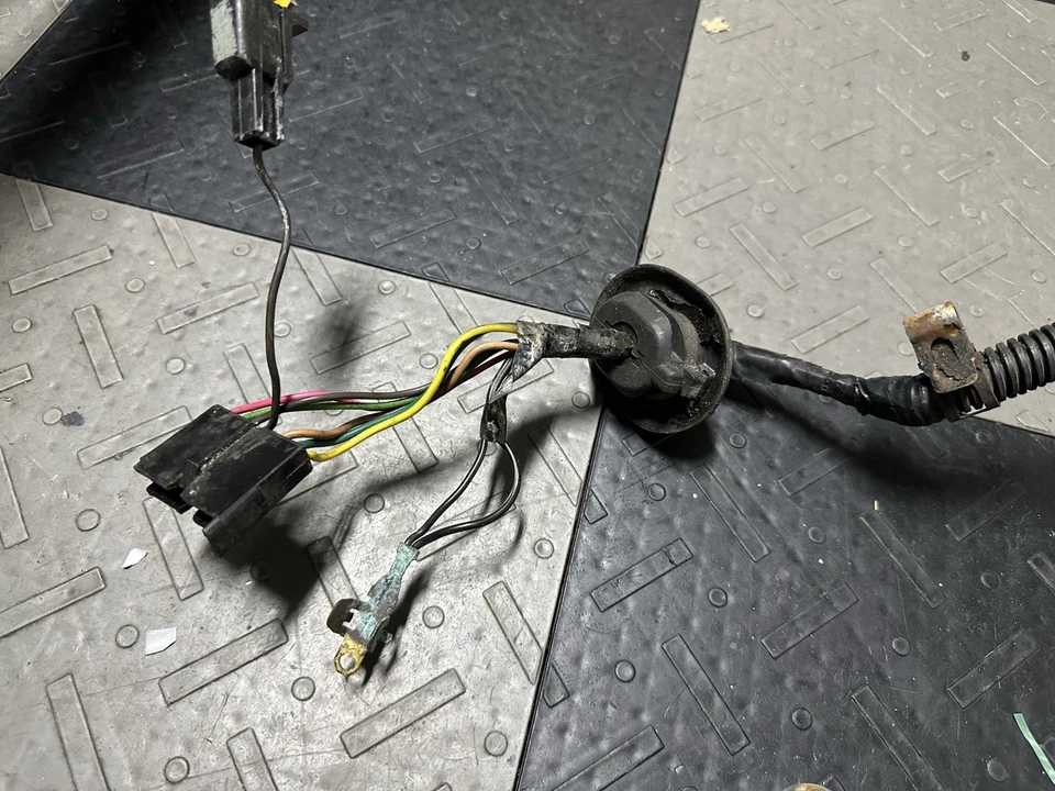 1984-1987 Grand National Turbo Regal T-Type ограниченный задний фонарь объектив ремень - Изображение 2 из 4