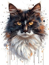 Photo A4 Bicolor Maine Coon Cat Art Explosion Colors Poster Wall Art – 2311