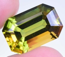 Natürlich Zweifarbig Turmalin 13.15 Karat Oktagon Schliff Rare Zertifiziert Lose