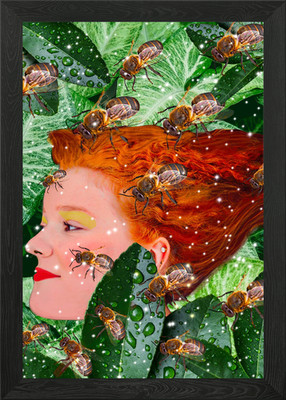 Bienenkönigin gerahmtes Wandbild Poster Leinwanddruck Bild