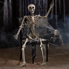 5 Ft. Life-Size Posable Skeleton Halloween Decoration - Morris Costumes