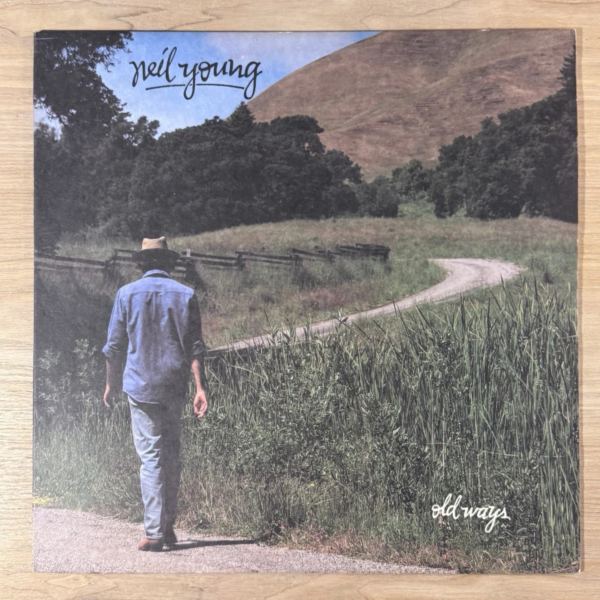 Las mejores ofertas en Blues discos de vinilo Neil Young | eBay