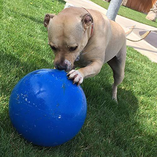 New 10inch Virtually Indestructible Dog Ball Durable Toy for