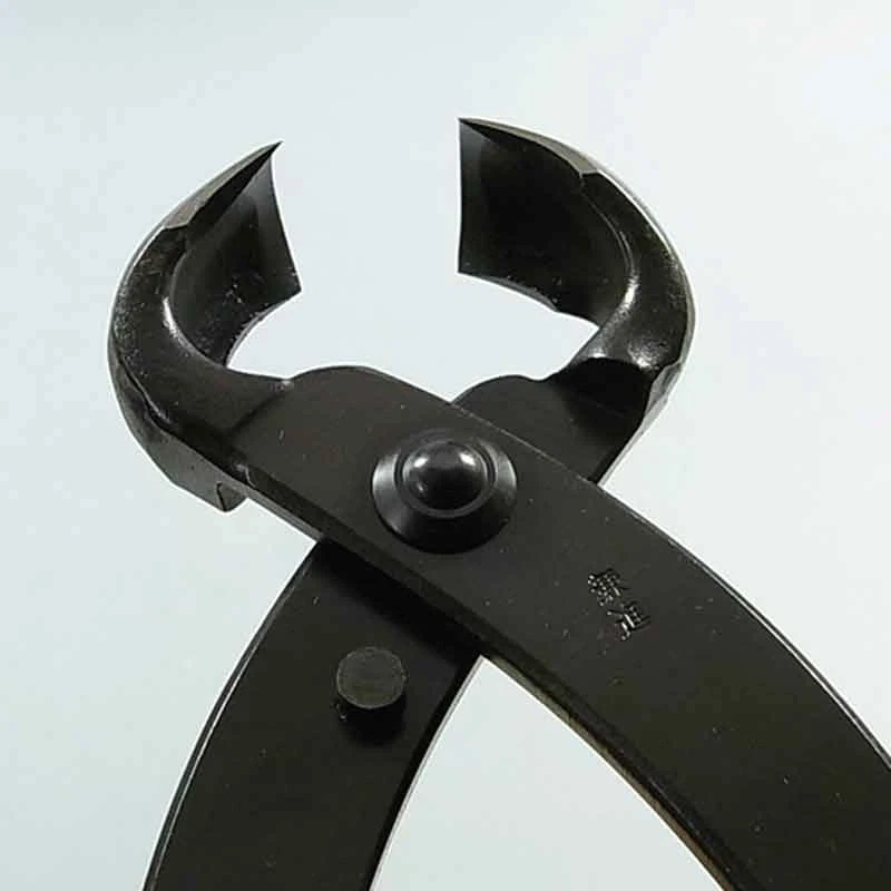 Kaneshin Bonsai Herramientas Perilla Cortador Nº12 300mm Corte de Grupos Extra Grande Nuevo Foto 3 de 4