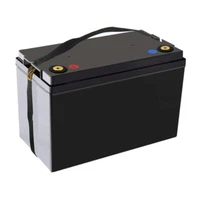 12V 150Ah Deep Cycle LiFePO4 Battery BMS lithium iron phosphase